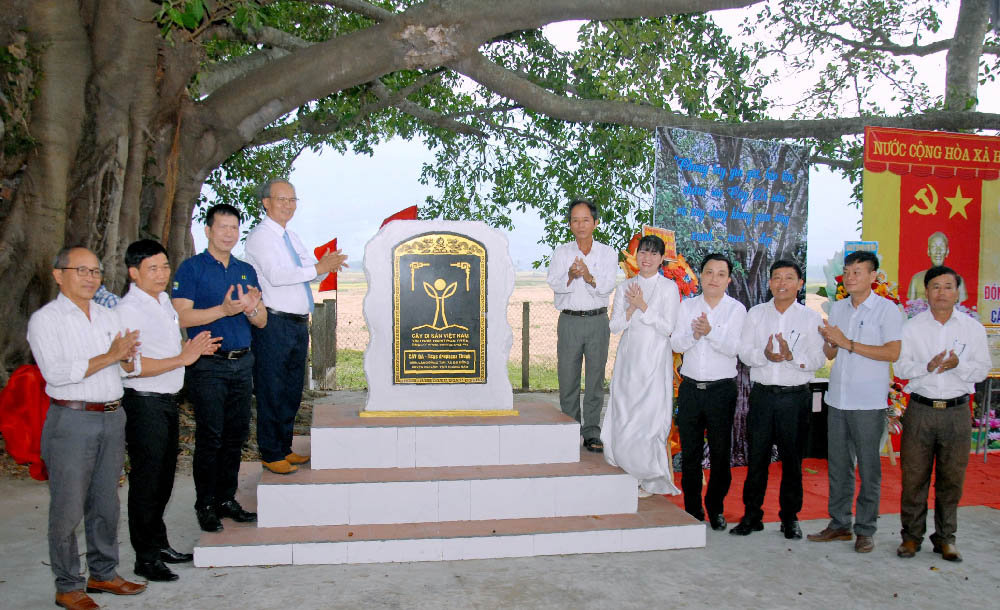 Quảng[-]Nam:Cây[-]Đa[-]nơi[-]trú[-]ẩn[-]của[-]quân[-]dân[-]qua[-]2[-]cuộc[-]kháng[-]chiến[-]được[-]công[-]nhận[-]Cây[-]Di[-]sản[-]Việt[-]Nam